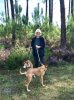 Marjorie with Ollie & Lucy, enjoying a nice walk in the fir-woods and heather in S.W. France on their way from Riogordo in Málaga, S.Spain to Bideford in N.Devon, UK..